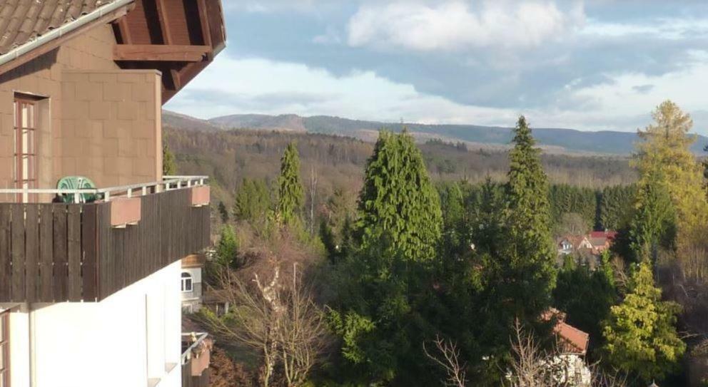 Jagdschloesschen-Harz Lägenhet Bad Sachsa Exteriör bild