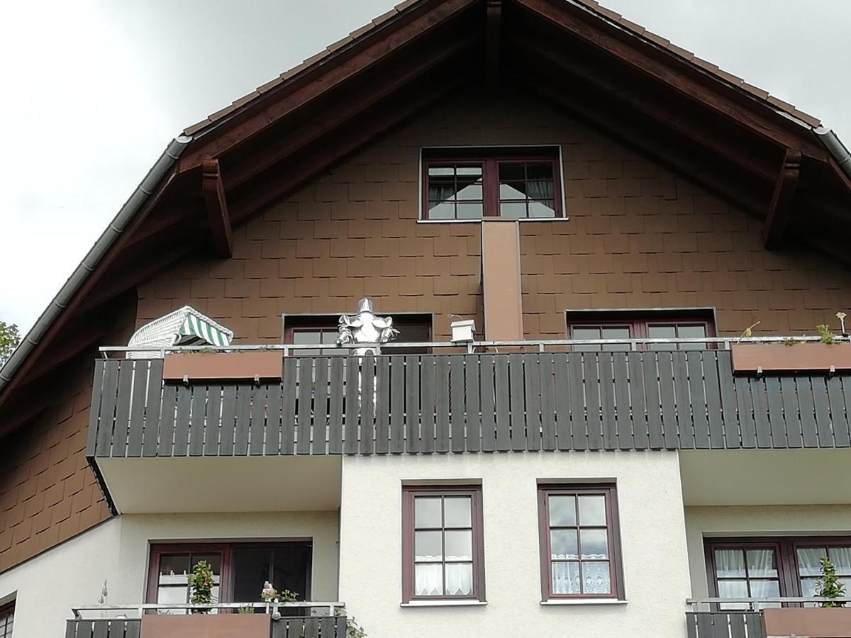 Jagdschloesschen-Harz Lägenhet Bad Sachsa Exteriör bild
